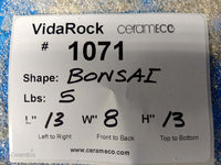 VidaRock Bonsai 1071