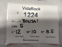 VidaRock Bonsai  1224
