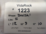 VidaRock Bonsai  1223