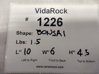 VidaRock Bonsai  1226