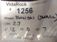 VidaRock Small Bonsai  1256