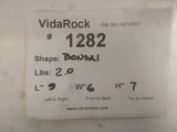 Copy of VidaRock Small Bonsai  1282