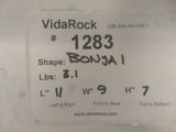 VidaRock Medium Bonsai 1283